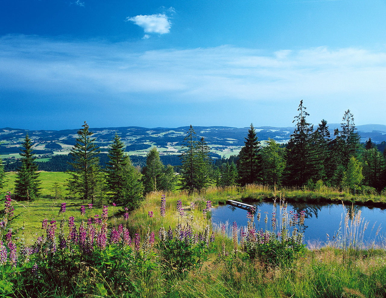 Deutschlands letzte Paradiese - die 15 Nationalparks in Deutschland