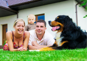 Hundehaftpflichtversicherung - Falls Ihr Vierbeiner einmal etwas kaputt macht