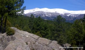 Hotel Sierra de Madrid booking