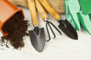 Dónde comprar online utensilios de jardineria