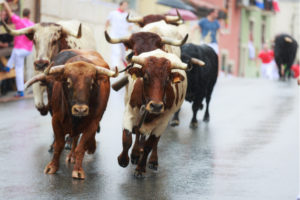 Temporada taurina: ¿atracción turística?