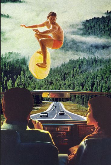 Tu as trouvé une voiture neuve pas chère? Avec le serpent qui applaudit?