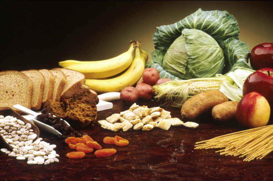 Components of a Healthy Vegetarian Diet