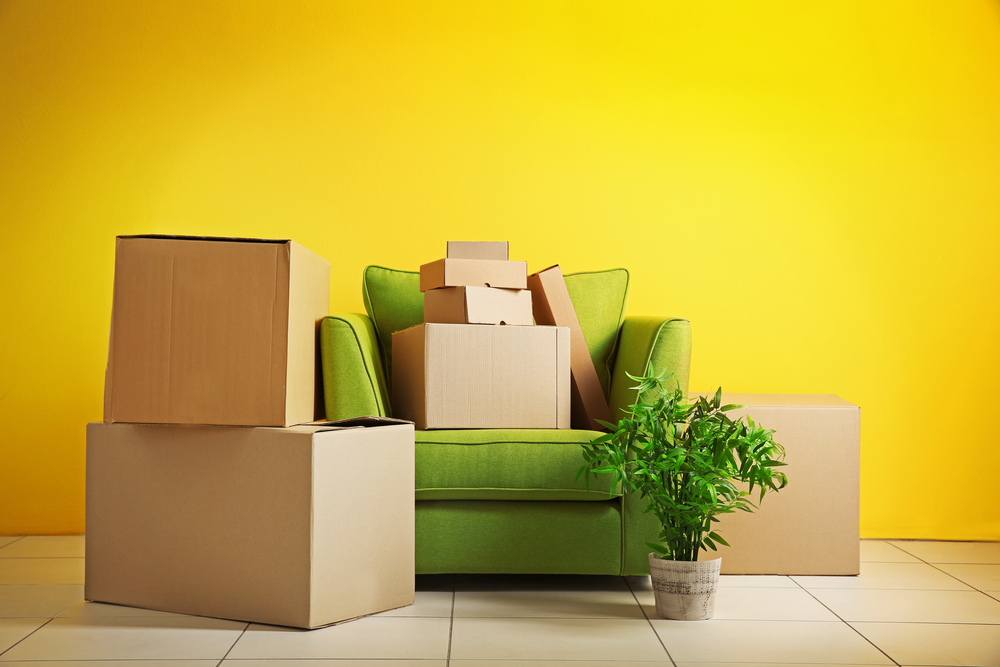 What do relocation companies do?