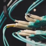 Colocation Vs. Shared Hosting: Which is Right for You?