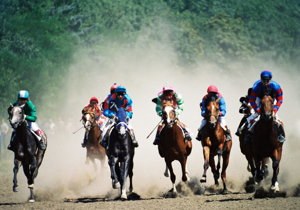 The best tricks used to bet on the horse racing