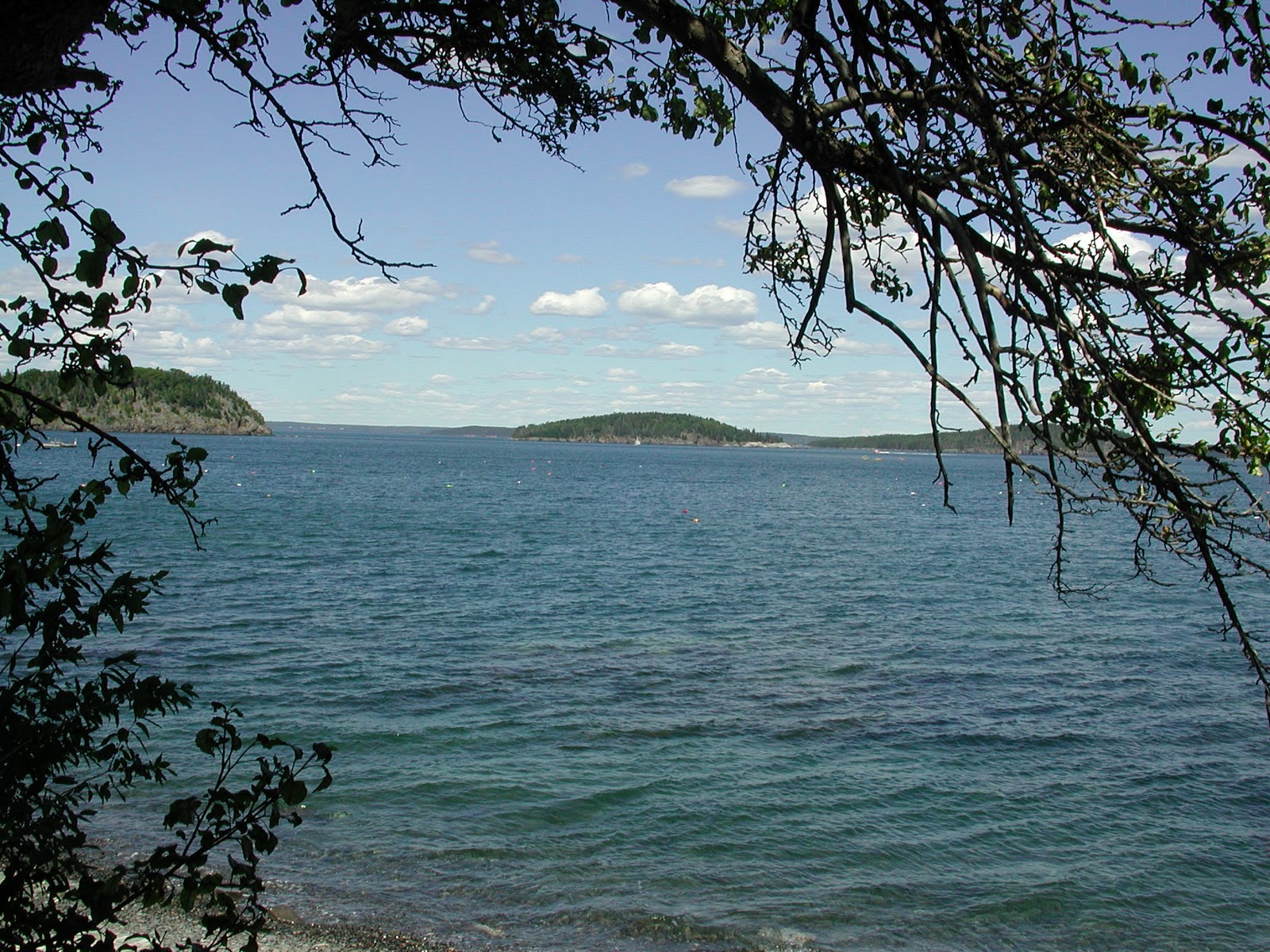 Maine Vacation Rentals, ambient environment