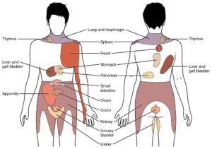Fibromyalgia Treatments, options available