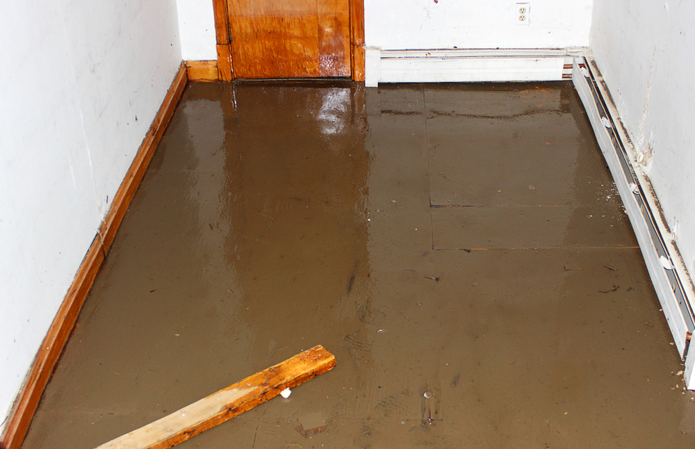 How to Fix a Flooded House