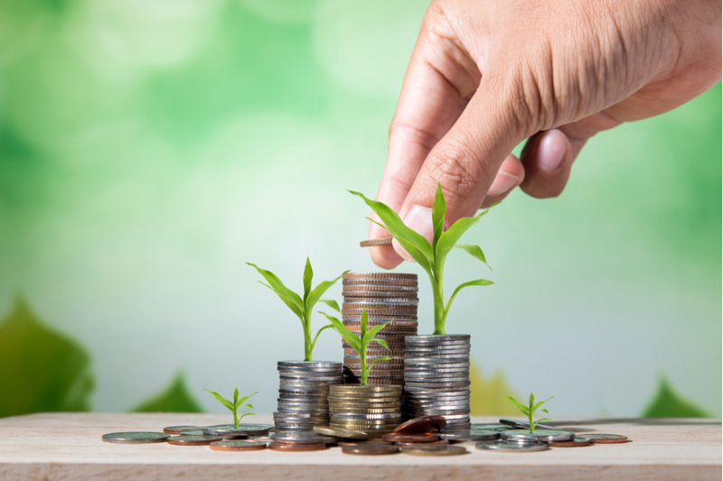 Bluevine vs Kabbage: Which lender is best for your small business?